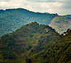 Landscape in Uganda. Photo: Rod Waddington via Wikimedia Commons (license: CC BY-SA 2.0)