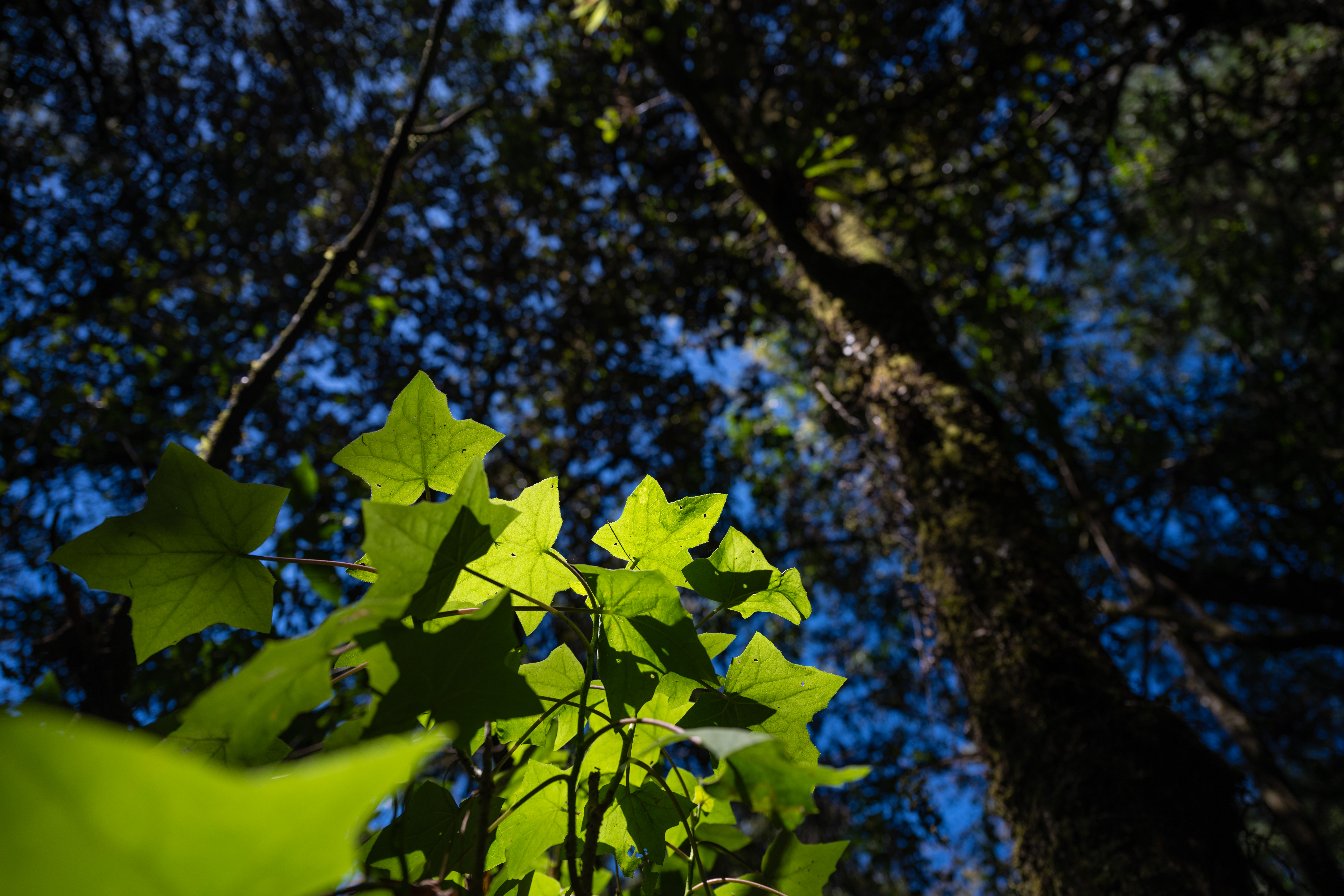 Foto: Håvard Bjelland / Kirkens Nødhjelp