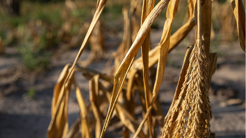 Foto: Sacha Myers, Redd Barna.